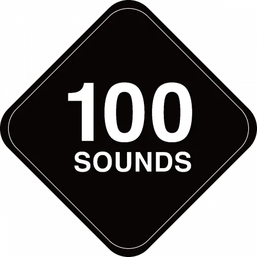 100sounds RC-AL100/2個セット RC-AL100 – 100 SOUNDS