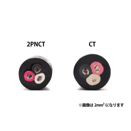 むっちゃん様　ＦＰＰ-2PC むっちゃん様 FPP-2PC