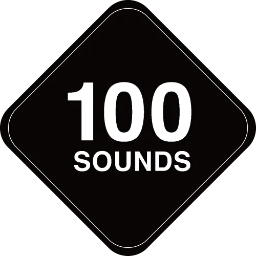 RC-DJ100