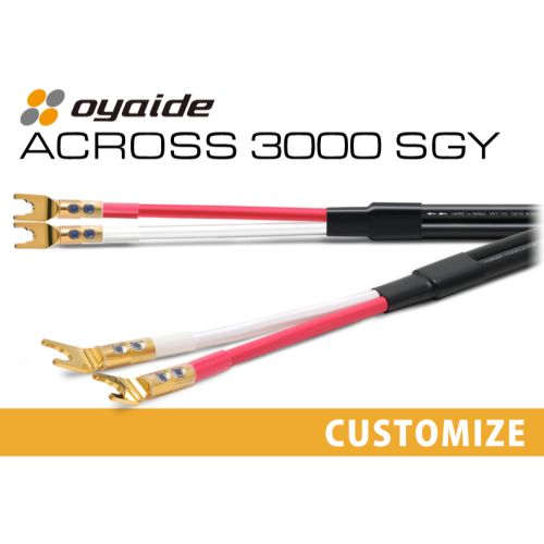 ACROSS 3000 SGY カスタム ペア