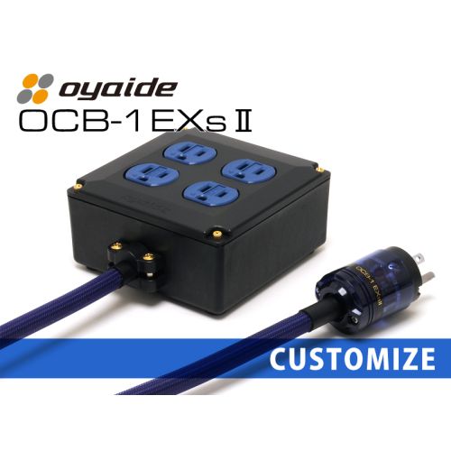OCB-1 EXs Ⅱ カスタム OCB-1 EXs Ⅱ カスタム