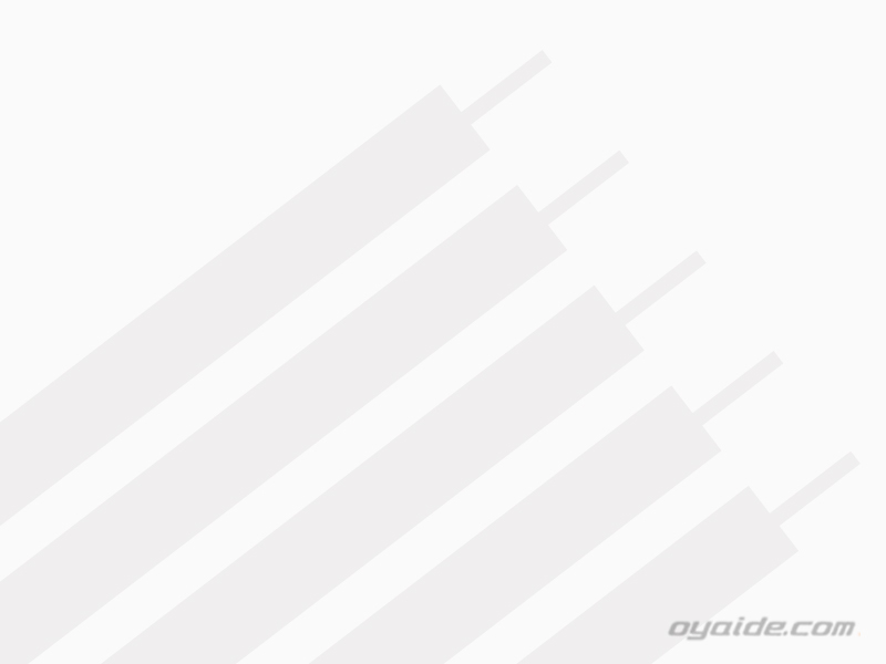 CCDカメラケーブル 完成品3.0m CCDカメラケーブル 完成品3.0m