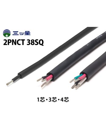 2PNCT 38sq　100m巻