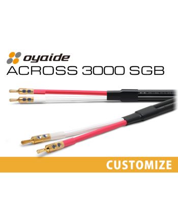 ACROSS 3000 SGB カスタム ペア