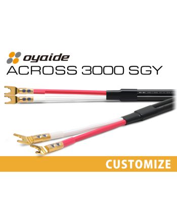 ACROSS 3000 SGY カスタム ペア