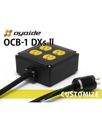 OCB-1 DXs Ⅱ カスタム