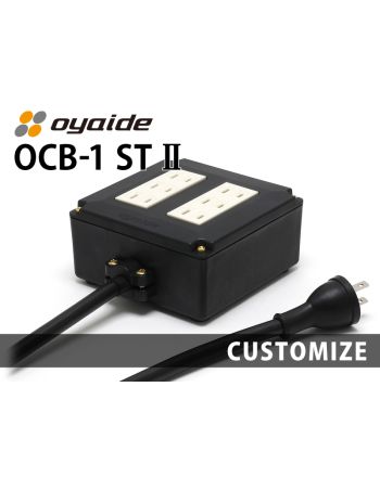 OCB-1 ST Ⅱ カスタム
