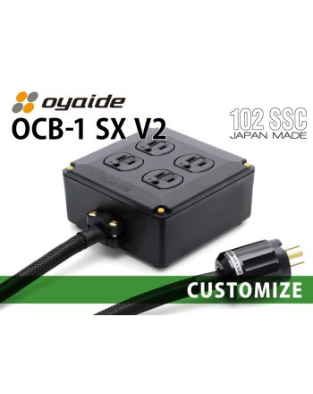 OCB-1 SX V2 カスタム