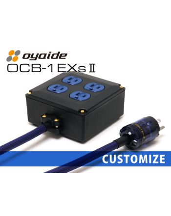 OCB-1 EXs Ⅱ カスタム