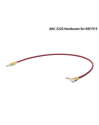 QAC-222G Humbuster for AXE FX