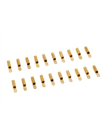 金メッキシェルチップ (20個入り) 金メッキシェルチップ (20個入り)