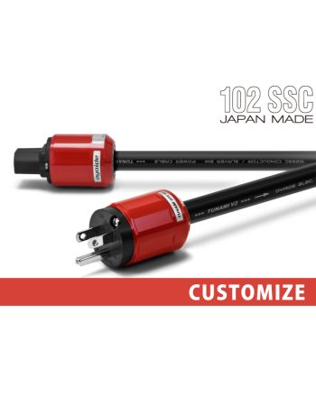 TUNAMI GPX V2 カスタム