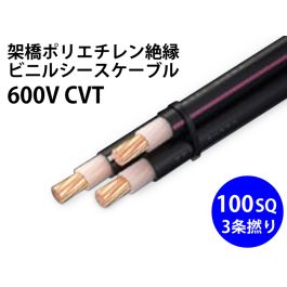 cvt_100sq_800t.jpg