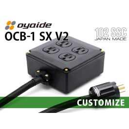 OCB-1 SX V2 カスタム