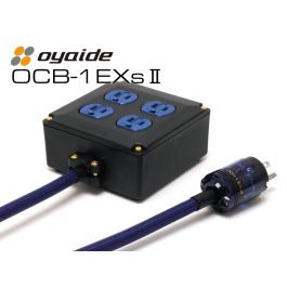 オヤイデ　OCB-1 ST-2 ocb1_exs2_001_800t.jpg