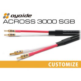 across3000_sgb_custom_001_800s