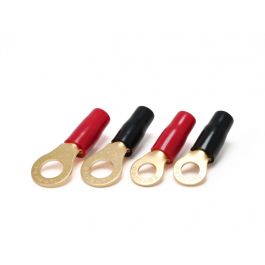 早割 旅行 goldplate_8sq_002_800_1.jpg 管楽器・吹奏楽器