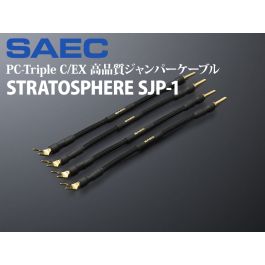 sjp-1_800t.jpg